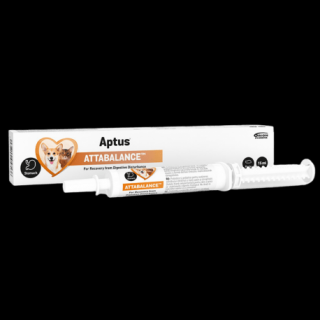 APTUS Attabalance pasta 15ml