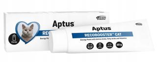 APTUS Recobooster Cat 60g na odżywienie i apetyt