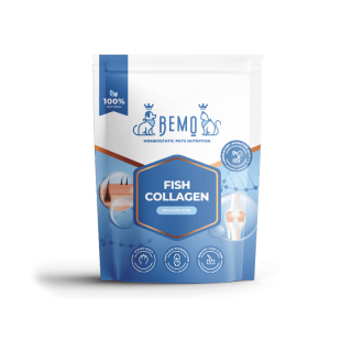 BEMO Fish Collagen 600g kolagen rybi dla psa i kota