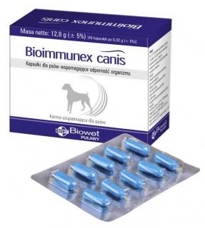 Bioimmunex canis 40 kapsułek