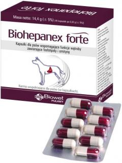 BIOWET Biohepanex forte 40 kapsułek