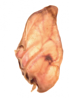 Comfy Appetit Ucho Wieprzowe 1 sztuk przysmak dla psa