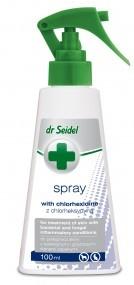 DR SEIDEL spray z chlorheksydyną 100 ml