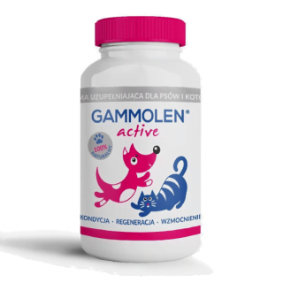 Gammolen Active 90 tabletek