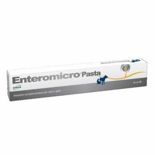 GEULINCX enteromicro pasta 15 ml