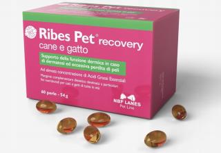 ILOVET Ribes Pet cane e gatto 60 kapsułek