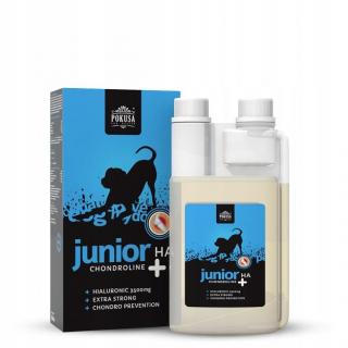 POKUSA chondroline junior+ha 500ml