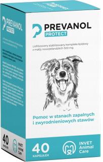 prevanol protect 40 tabletek