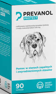 PREVANOL Protect 90 tabletek wsparcie stawów