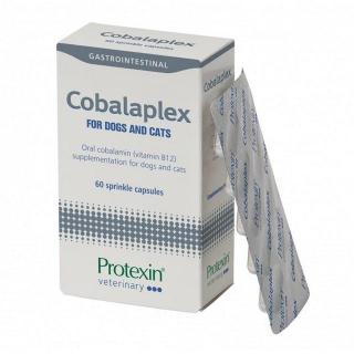 PROTEXIN Cobalaplex 60 kapsułek probiotyk dla psa i kota