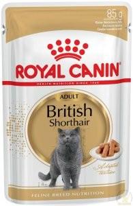 ROYAL CANIN BRITish shorthair 6x85 g saszetka