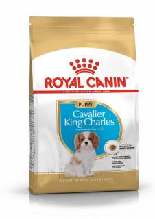 ROYAL CANIN Cavalier King Charles Puppy 1,5kg karma sucha dla psów