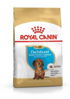 ROYAL CANIN Dachshund Puppy 1,5kg karma sucha dla psów