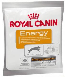 ROYAL CANIN energy nutritional supplement 50 g saszetka