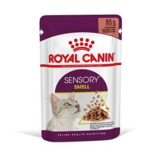 ROYAL CANIN fhn sensory smell gravy 85g