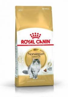 ROYAL CANIN Norwegian Forrest Adult 2kg karma sucha dla kotów