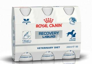 ROYAL CANIN Recovery Liquid 3x200ml karma płynna dla psów