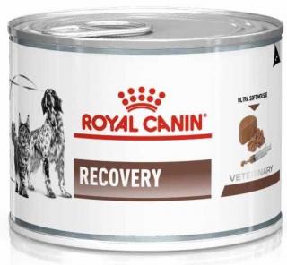 ROYAL CANIN Recovery Mousse 195g karma mokra dla psów