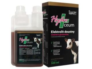 SCANVET Hydroceum 500ml Elektrolit doustny dla cieląt