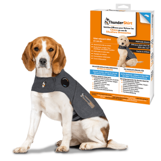 ThunderShirt kamizelka relaksująca dla psów M (11-18kg)