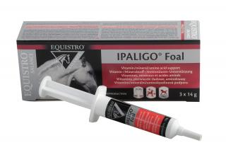 Vetoquinol equistro ipaligo foal 3*14g