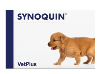 VETPLUS SYNOQUIN Growth wsparcie stawów szczeniąt