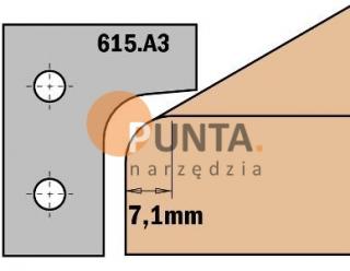 PŁYTKA WYMIENNA 615.A3 DO FREZA 615.620A