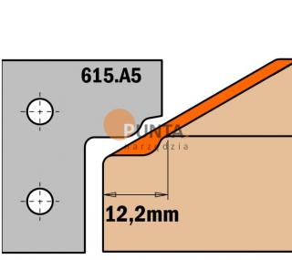 PŁYTKA WYMIENNA 615.A5 DO FREZA 615.620A