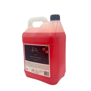 ARTE CARE szampon fryzjerski do włosów CHERRY 5000 ml