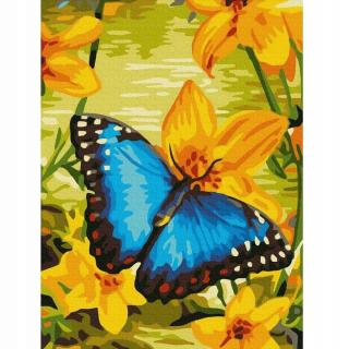 Malowanie po numerach Motyl na żółtych kwiata