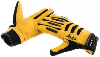 AXION