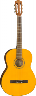 Fender ESC-105