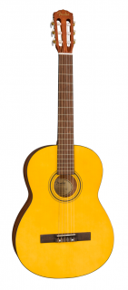 Fender ESC-110