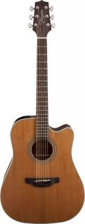 Takamine GD20CE - NS