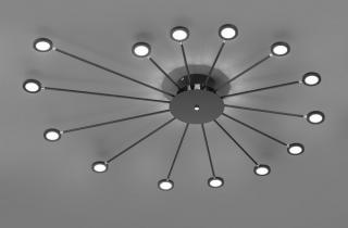 PEACOCK PLAFON LED 679511532     Trio Lighting Rabat od 1 zł