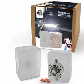 LedBruk Świecąca Kostka Brukowa Akropol 14x10 BZ