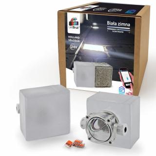 LedBruk Świecąca Kostka Brukowa Holland 10x10 BZ