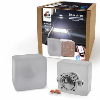 LedBruk Świecąca Kostka Brukowa Nostalit 12x12 BZ