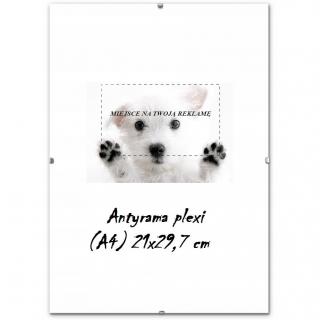 Antyrama Plexi 210x297 (A4) NO NAME
