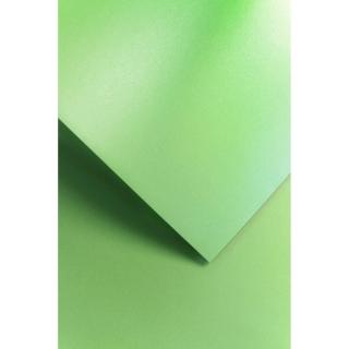 Papier wizytówkowy A4 220g GALERIA PAPIERU 20 szt. millenium zielony