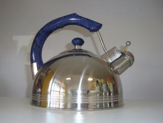 MAESTRO MR-1309 Czajnik ze stali nierdzewnej niebieski