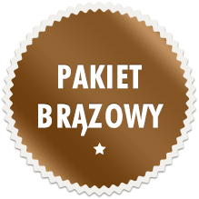 Zdalne wsparcie techniczne - pakiet brązowy - Gold Partner DrayTek - wysyłki  od ręki