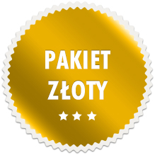 Zdalne wsparcie techniczne - pakiet złoty - Gold Partner DrayTek - wysyłki  od ręki