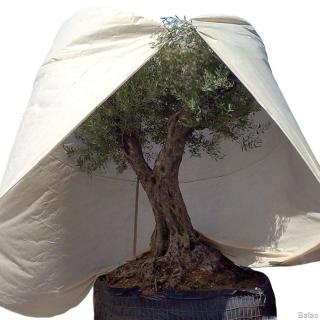Duży worek z włókniny 70 g/m kw.  XXXL "Mediterran" beżowy, W:350 x fi 250 cm, z zamkiem błysk.