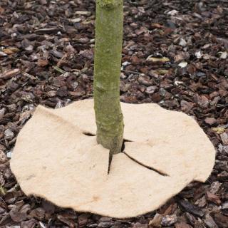 Osłona - Dysk 45 cm filc z juty, kolory różne
