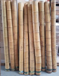Rurka bambusowa Kyoto, lakier, Ø 6-8cm, dł 150 cm