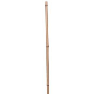 Rurka bambusowa - tyczka do roślin, nieobrobiona,   12-14mm, długość 180cm
