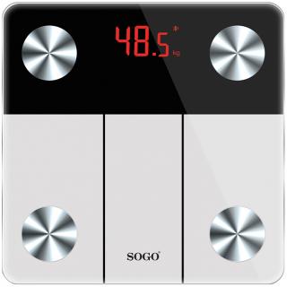 SOGO SS-2900