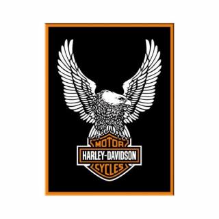 14228 Magnes Harley-Davidson Eagle Logo