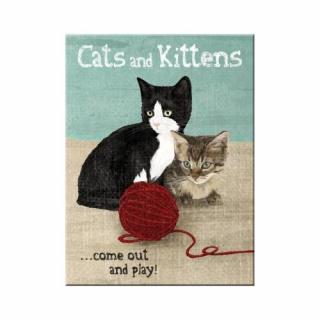 14242 Magnes Cats and Kittens